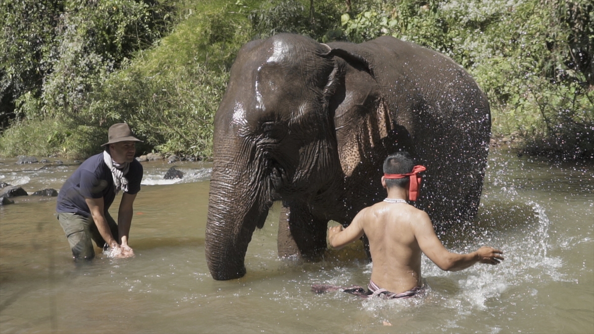 Strik, yaptığı işler arasında en zorlularının fil binmek, yılan avlamak ve bal avına çıkmak olduğunu kaydederek, "Yerel insanlar Türkiye`den geldiğimizi öğrenince inanılmaz mutlu oldu. Türkiye`ye oldukça saygı duyuyorlar." diye konuştu.