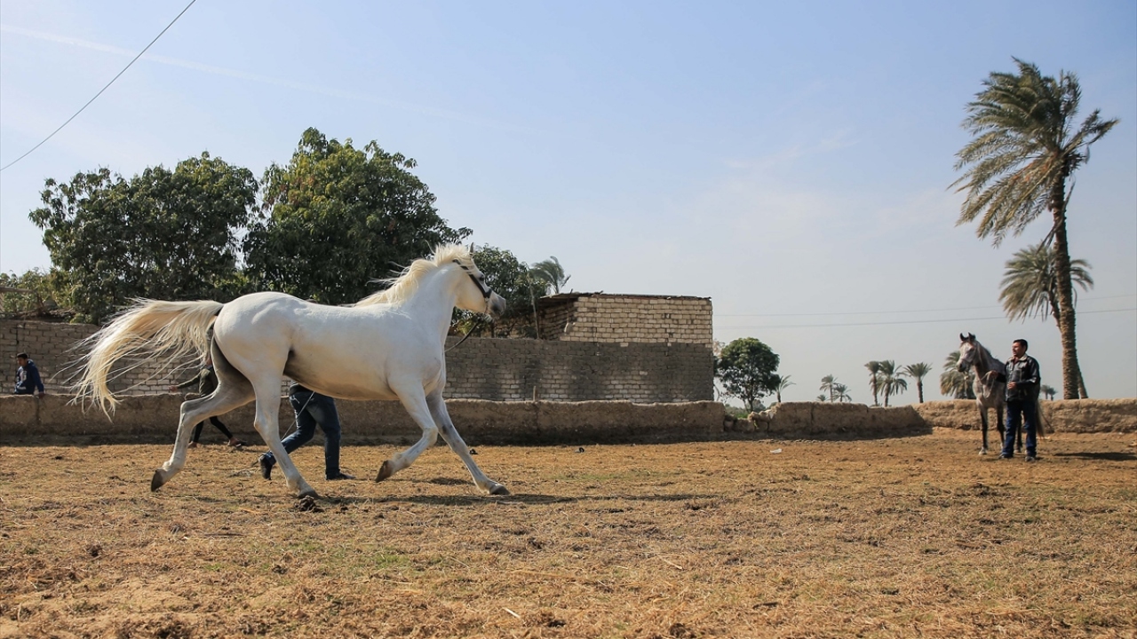 Köydeki at eğitmenlerinden Muhammed Kamil, at yetiştiriciliği ve eğitmenliğinin Allah tarafından kendilerine verilen bir lütuf olduğunu düşünüyor.