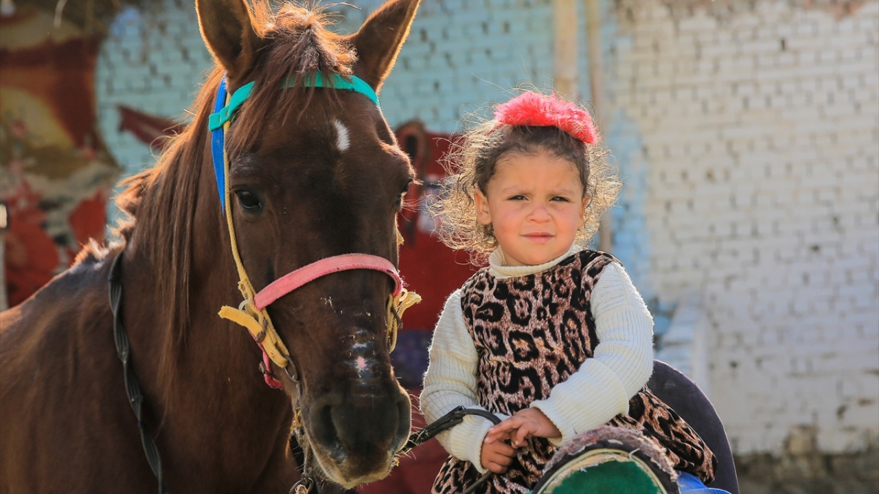 Gösteri ve düğünlerde dans eden atlar