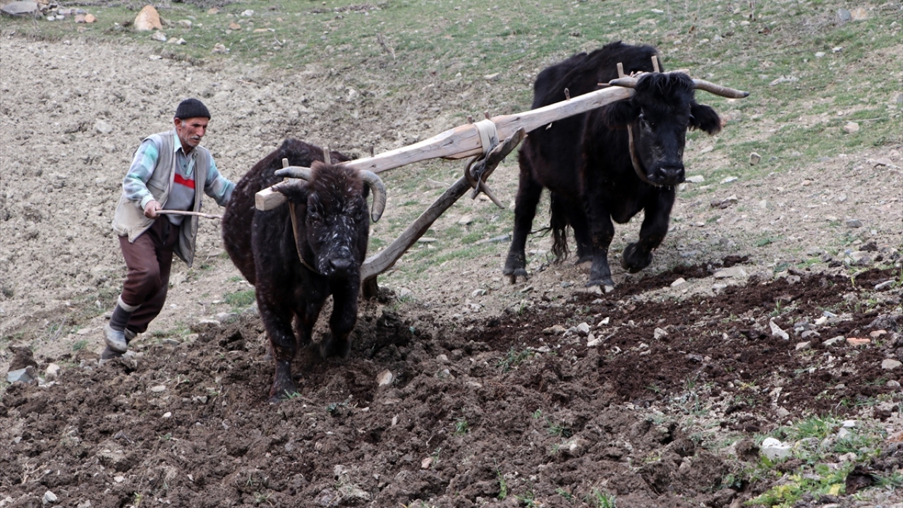 Mehmet Erim, yaptığı açıklamada, küçük yaşından beri çiftçilik yaptığını, ilkokulu bitirdikten sonra 30 yaşına kadar hayvan otlattığını söyledi.