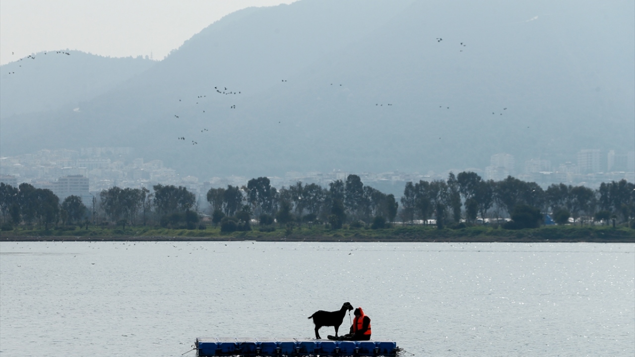 Senaryo gereği su üzerindeki sabit noktada mahsur kalan çoban ve keçisi AFAD ekipleri tarafından kurtarıldı.