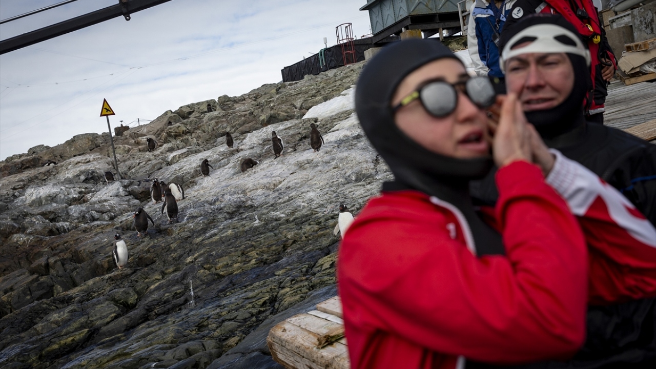 Ercümen, Türkiye Bilimsel Araştırma Kampının kurulmasının ardından Horseshoe Adası açıklarında özel bir dalış gerçekleştirdi. 