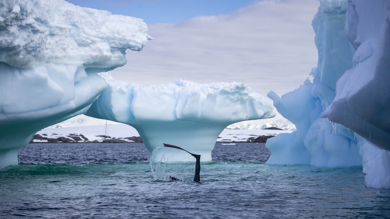Antarktika`da tüpsüz dalan ilk Türk kadın sporcu olma unvanını elinde bulunduran Ercümen, Horseshoe Adası`na ulaşmadan önce sefer rotasındaki Galindez Adası`nda dalış antrenmanı yaptı.