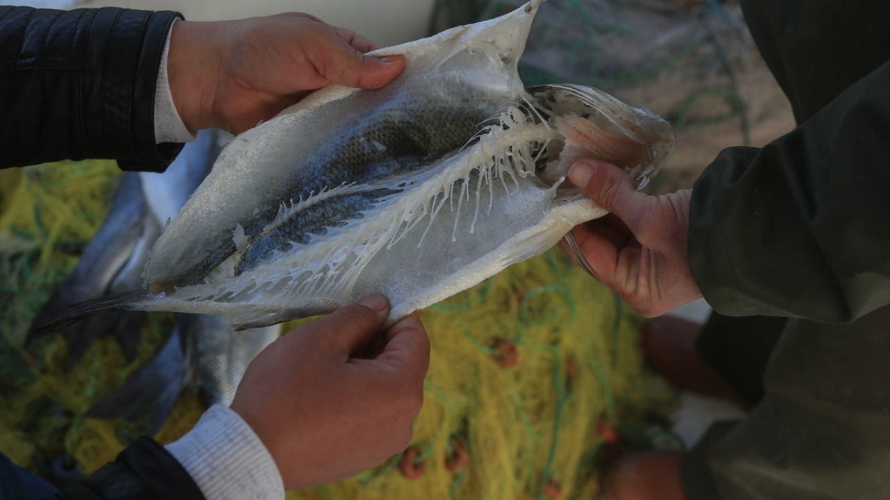"Artık ağları denizden 1-2 saatte çıkarıyoruz"