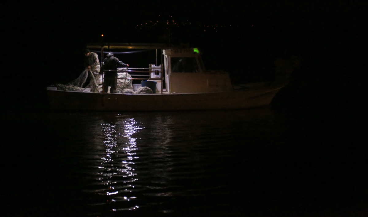 Gökoğlu, bu dönemlerde balıkçıların ağlarını uzun süre denizde bekletmemeleri gerektiğini kaydetti.