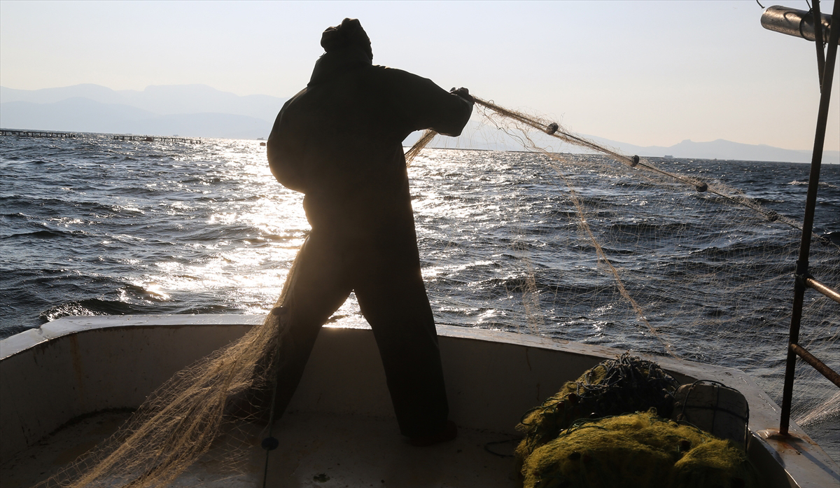 "Vampir pireler nedeniyle artık ağlarla balık tutamaz hale geldik."