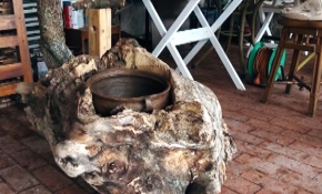 Doğada yürürken topladığı ağaç dallarından sanat yapıyor