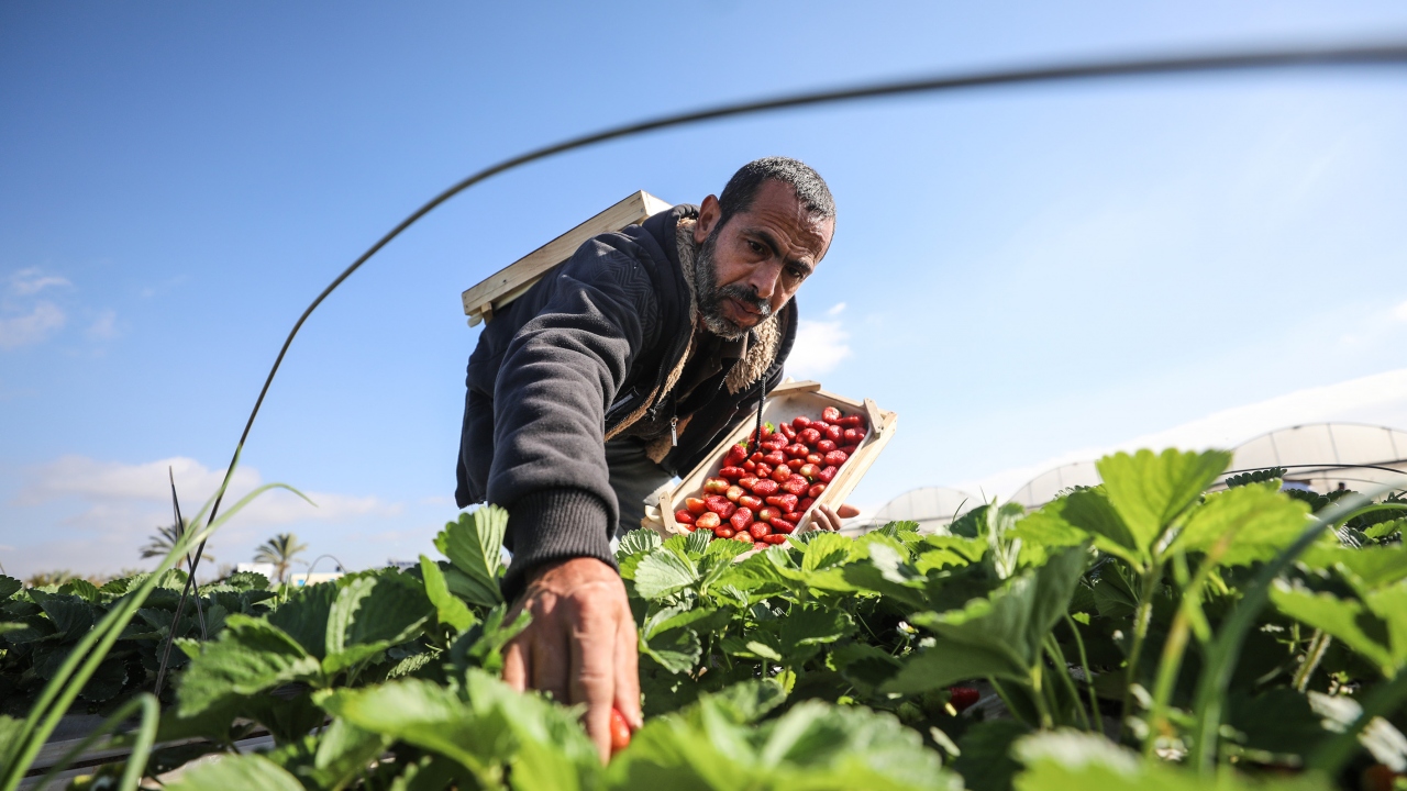 Fotoğrafın hikayesi
