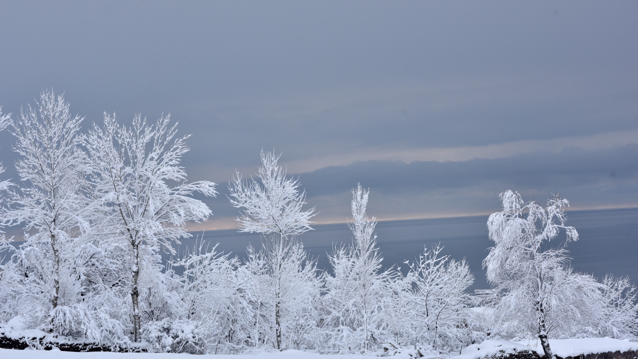 Haber, fotoğraf: Özkan Olcay