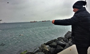 Bedensel engelli "Martıcı baba"nın hayvan sevgisi