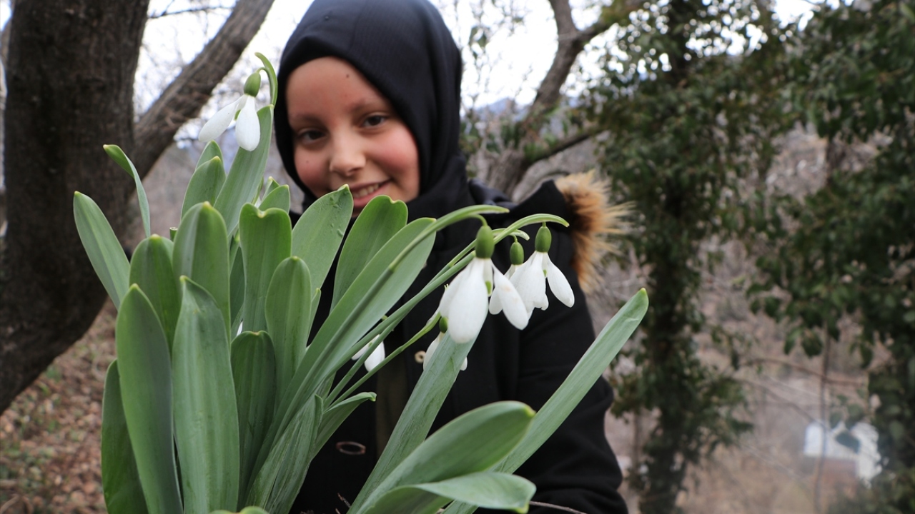 Sarıveliler Belediye Başkanı Hayri Samur ise Dumlugöze`nin Türkiye`de kardelen soğanı tarımının yapıldığı ilk köy olduğuna dikkati çekti.