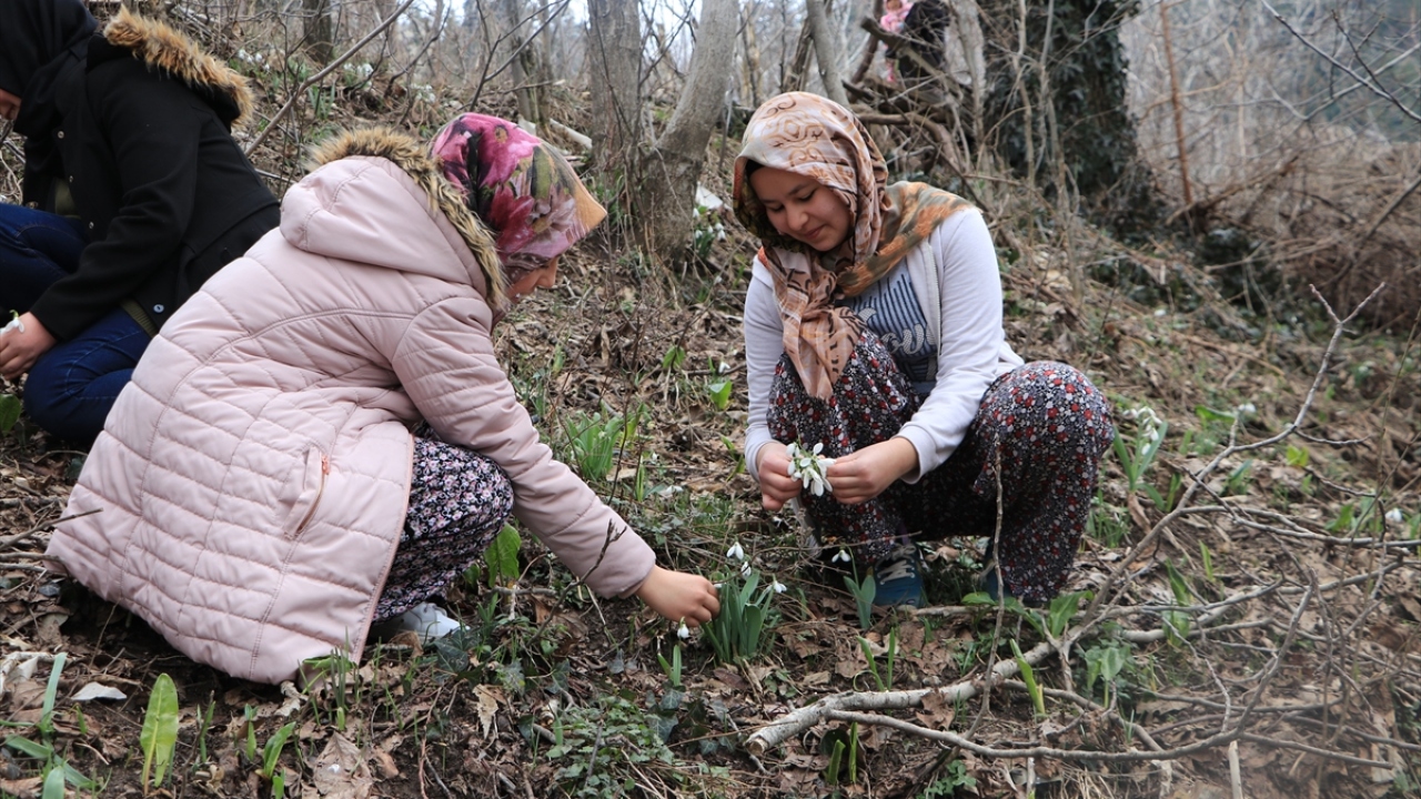 "Doğada tehlike altındaki türleri de koruyor"
