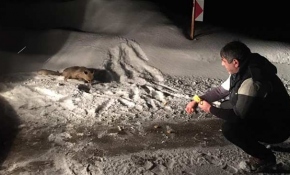 Ovit Dağı Geçidi'nde arabasından inip tilkiyi besledi