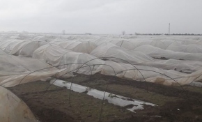 Mersin'deki hortum seraları vurdu