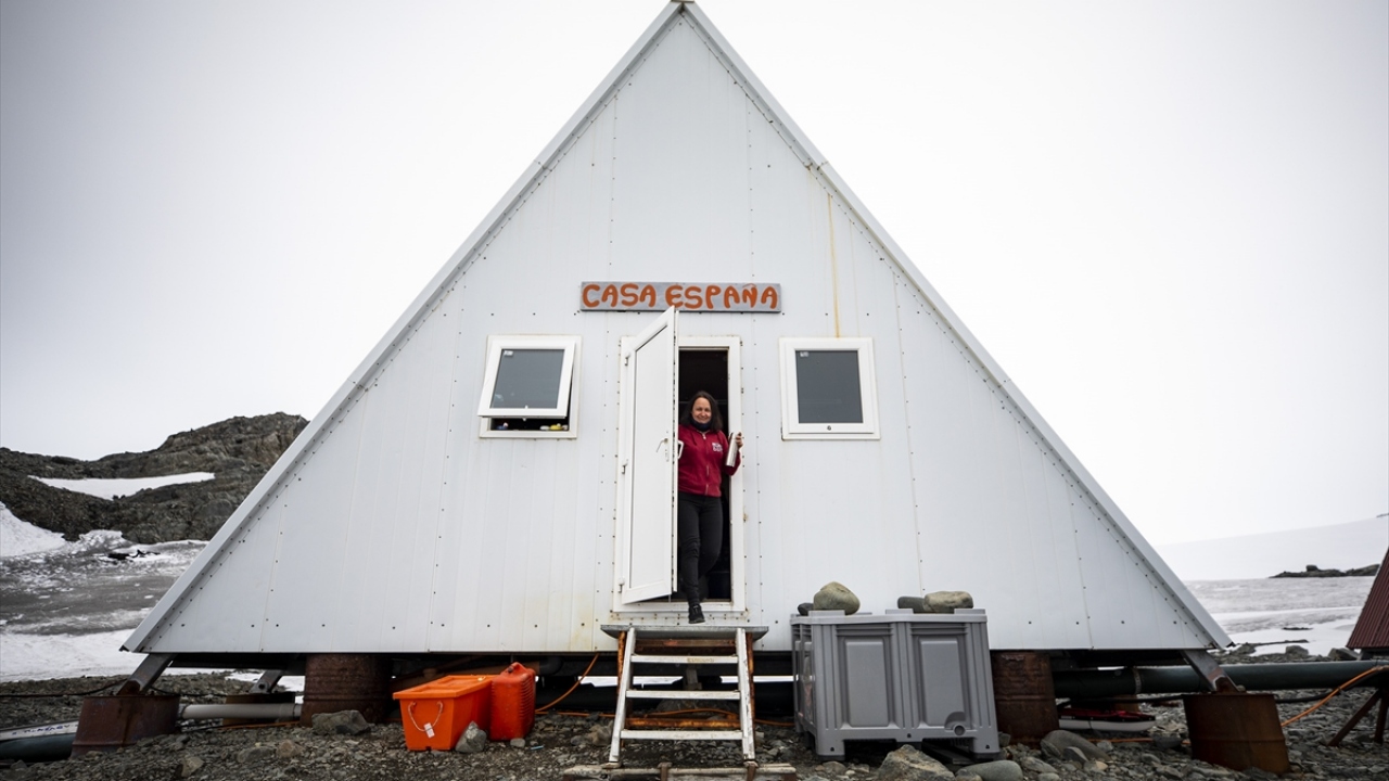İTÜ Maden Fakültesi Jeoloji Mühendisliği Bölümü Öğretim Üyesi Prof. Dr. Şafak Altunkaynak da "beyaz kıta"daki ilk çalışmasını geçen yıl Antarktika Yarımadası`nın doğusundaki James Ross Adası`nda yaptığını söyledi. 