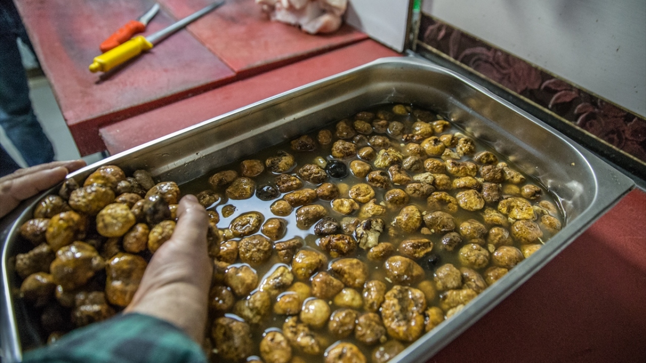 Köylüler tarafından toplanan ürünü, kebap ustaları etle karıştırıp şişe dizerek özenle pişiriyor.