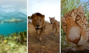 Dünyanın dört bir yanına yolculuk Fransa'nın en eski tema parkında