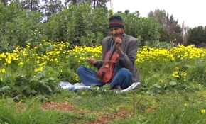 59 yıldır kemanını yanından ayırmıyor