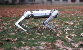 Ters takla atan "robot çita"