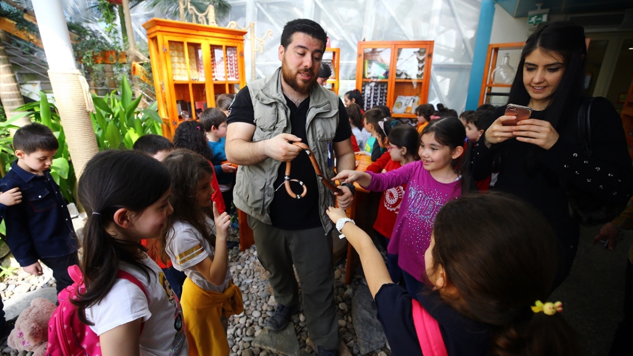 Tropikal bahçeyi gezmeye gelen çocuklara tropikal hayvanlar hakkında bilgi veriliyor.