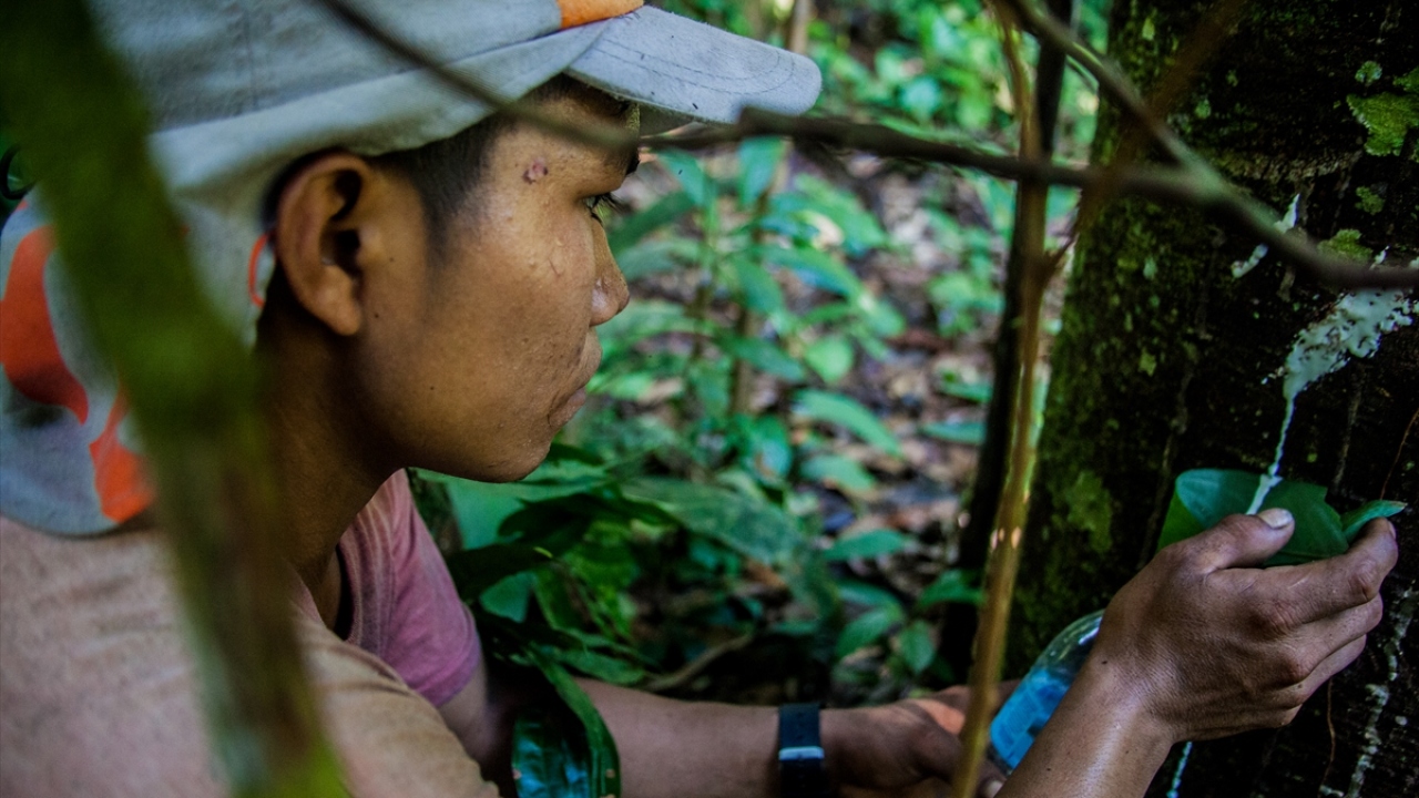 Nüfusun en az %30`unun elektrik ve içme suyu ihtiyacı olduğu belirtilen bölgede, doğal yaşam kültürleri ve endemik bitki türleri bulunuyor.