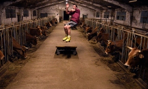 İspanyol patencinin seyircileri "inekleri"