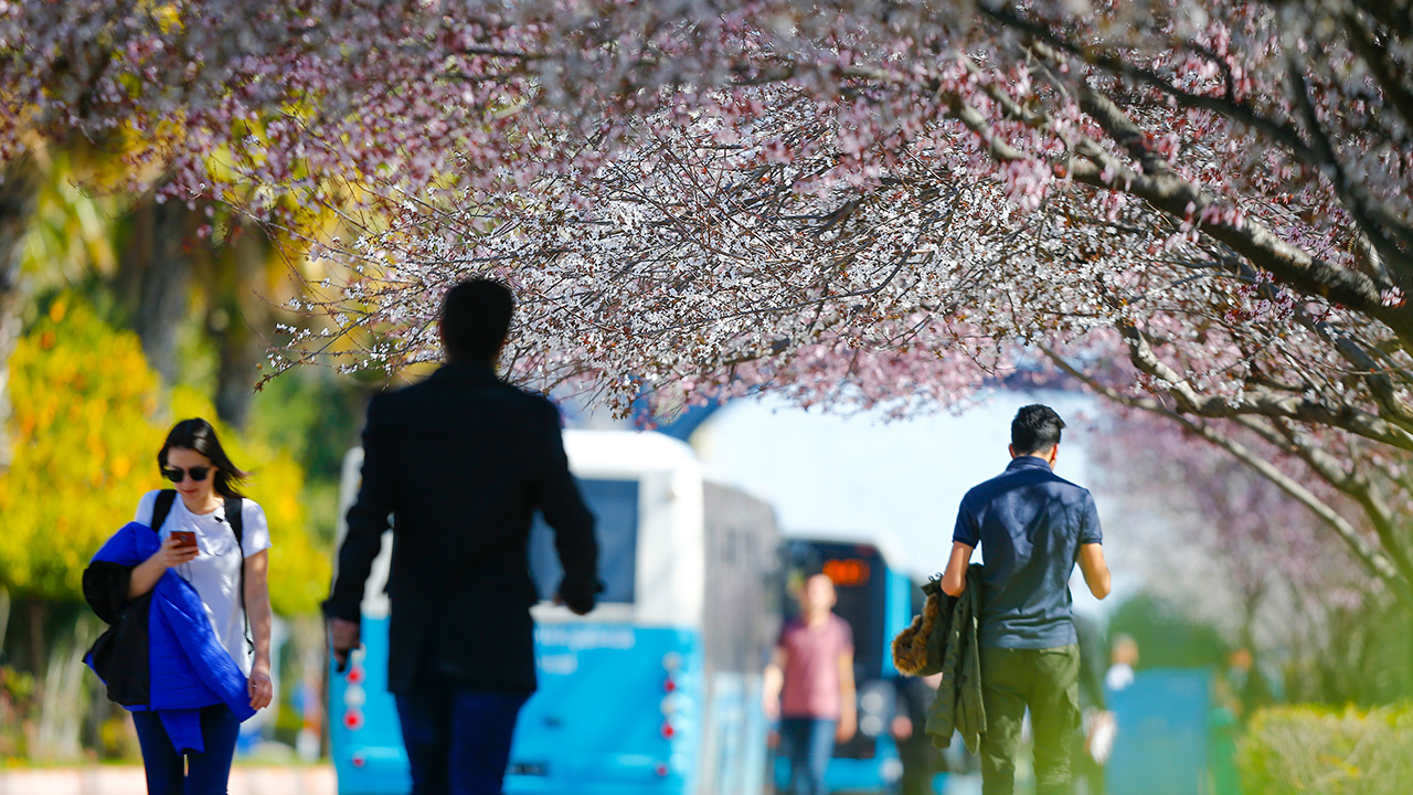 Yaklaşık 640 kilometrelik, mavinin her tonunun yeşille sarmalandığı sahil şeridiyle "Akdeniz`in incisi" Antalya`da, ilkbaharın gelmesi ve ağaçların çiçek açmasıyla renk cümbüşü oluştu. 