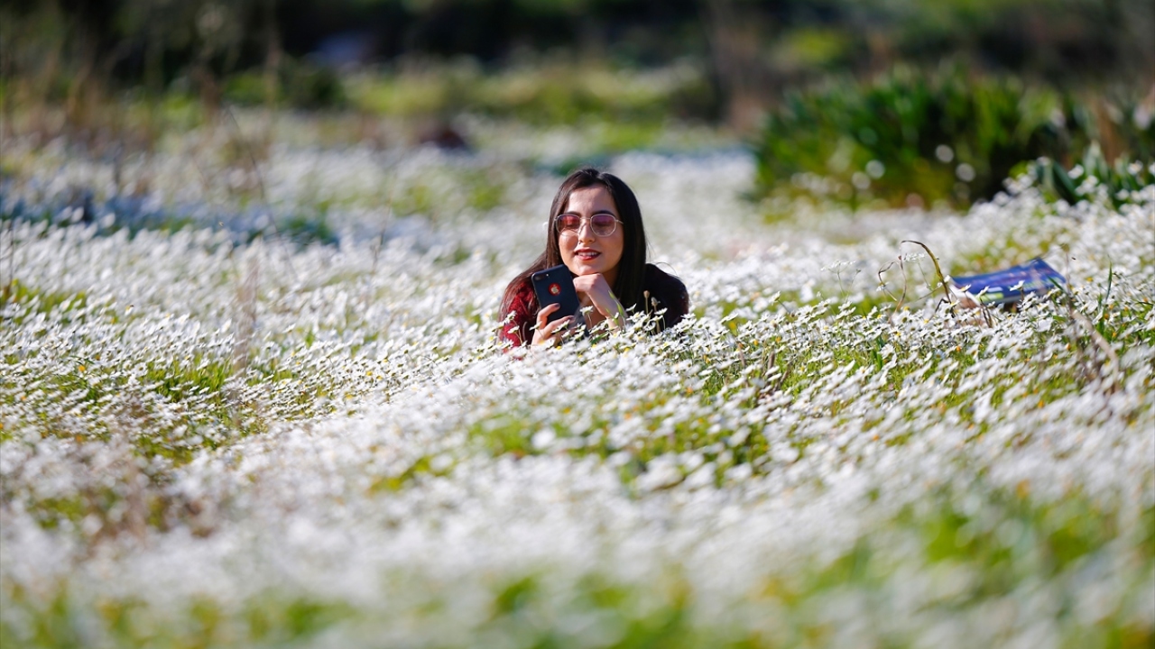 Binlerce çeşit bitkiyi barındıran ve rengarenk görünüme kavuşmaya başlayan kentte, doğal ortamların yanı sıra park ve bahçelerde açan çiçekler, şehre ayrı bir güzellik kattı. 
