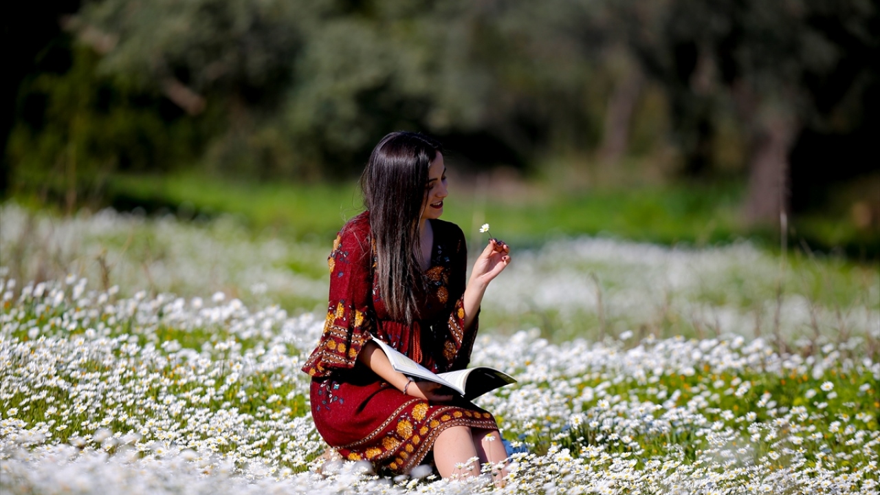 Zeytin ve turunçgiller başta olmak üzere binlerce ağacın bulunduğu kent merkezindeki Zeytinpark, "baharın habercisi" olarak adlandırılan papatyalarıyla ilgi odağı oldu.