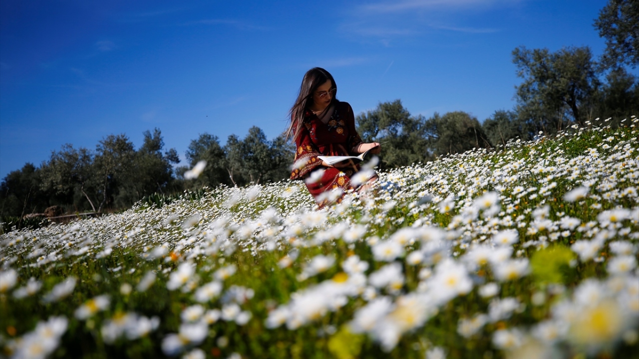 Akdeniz Üniversitesi Fen Fakültesi Dekanı Prof. Dr. Ahmet Aksoy da her bahar mevsimi kentte yine güzel manzaraların oluştuğunu vurguladı. 