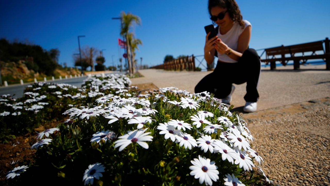 Çiçeklerin üzerine konan rengarenk kelebekler de parklarda vakit geçirenlerin ilgisini çekti. Birçok kişi,  kelebeklerin fotoğrafını çekti.