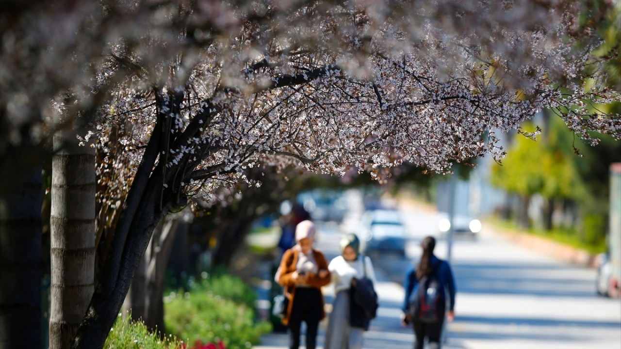 Çiçekler arasında kitap okuyup fotoğraf çeken Akdeniz Üniversitesi öğrencilerinden Zehra Tekeci, Antalya`da kış mevsiminin genellikle yağmurlu geçtiğini belirtti.