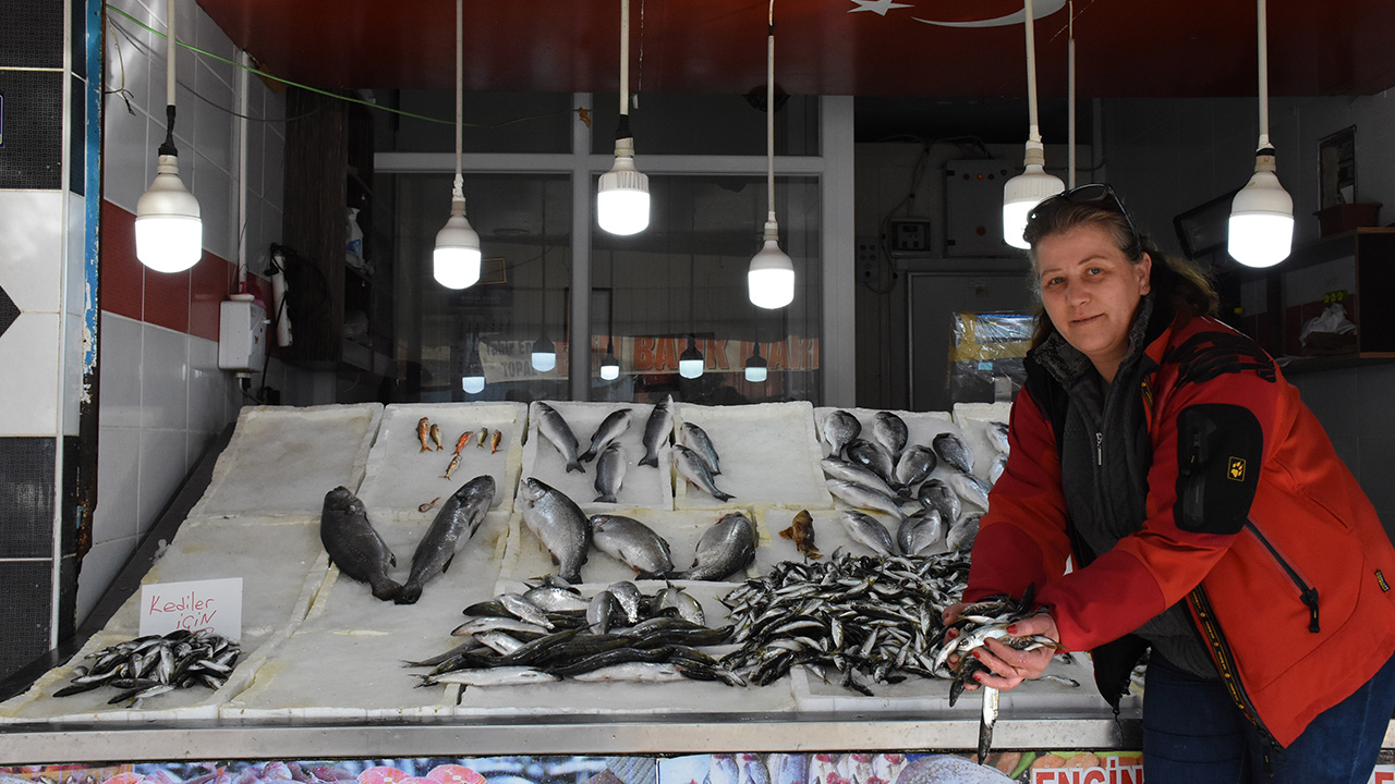 Perşembe ilçesindeki tezgahında balık satışı yapan 44 yaşındaki Yazkan, küçük yaştan bu yana sokak hayvanlarıyla ilgileniyor.