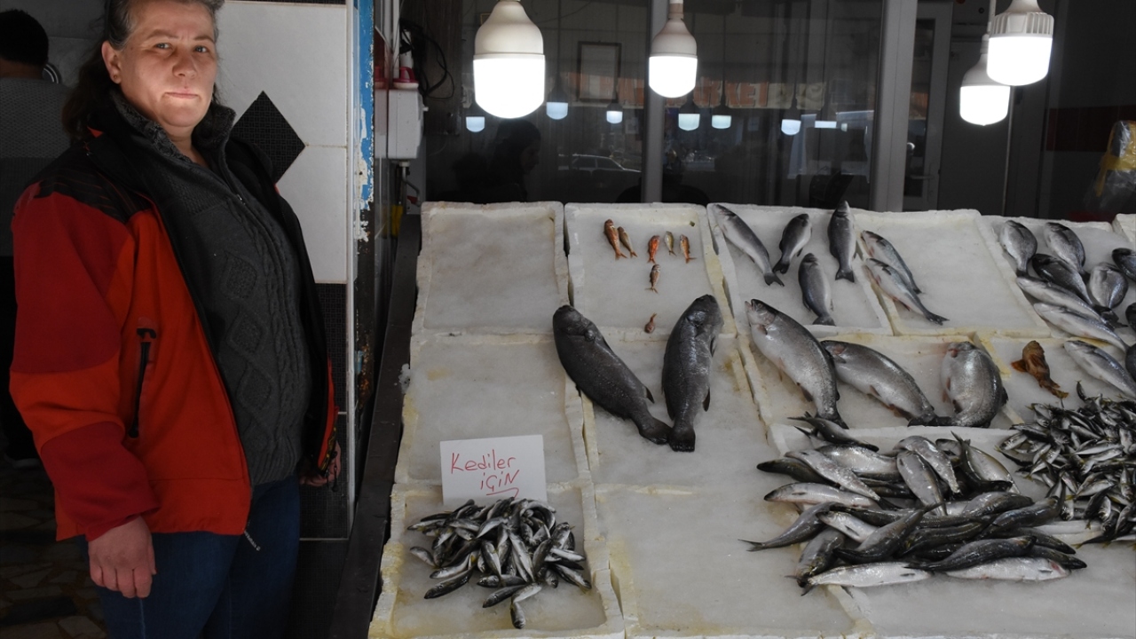 Dükkanın önünde köpek, kedi ve martılara balık veren Yazkan, müşterilerinin çocuklarının da kedileri besleyebilmesi için uygulama başlattı.