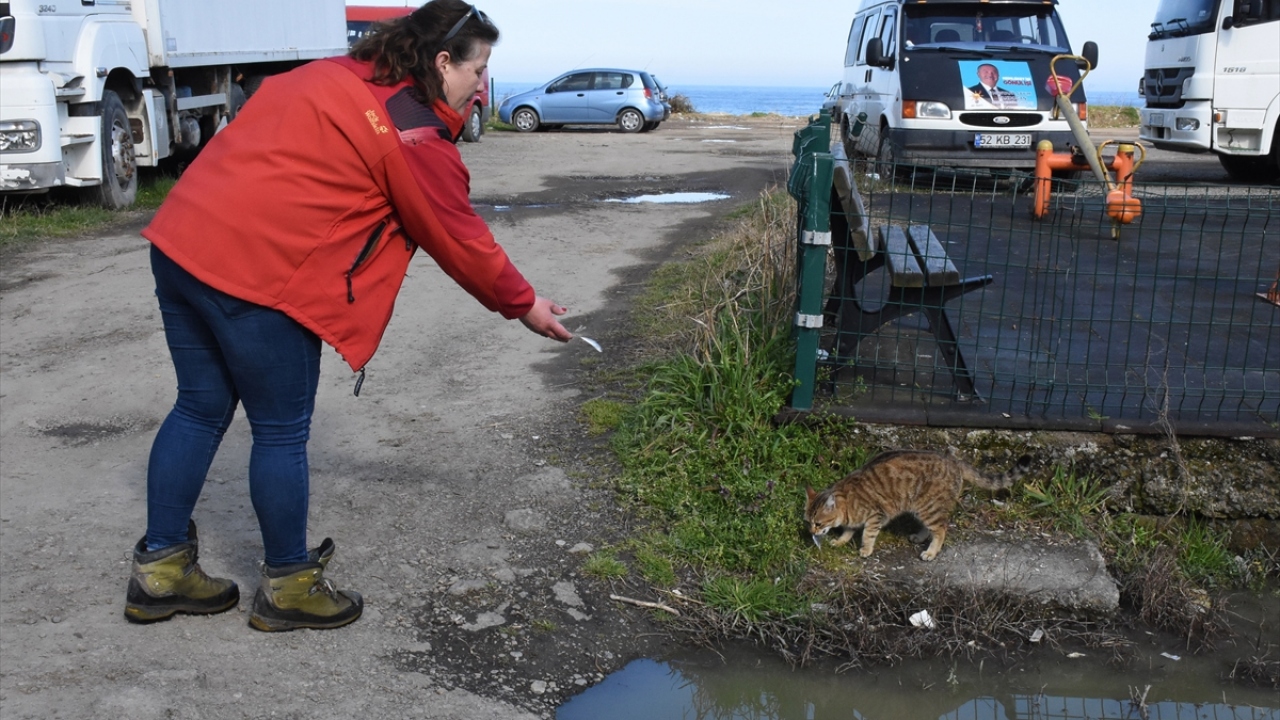 Üç çocuk annesi Filiz Yazkan, balıkçılık mesleğinin zor olduğunu ancak severek yaptığını söyledi.