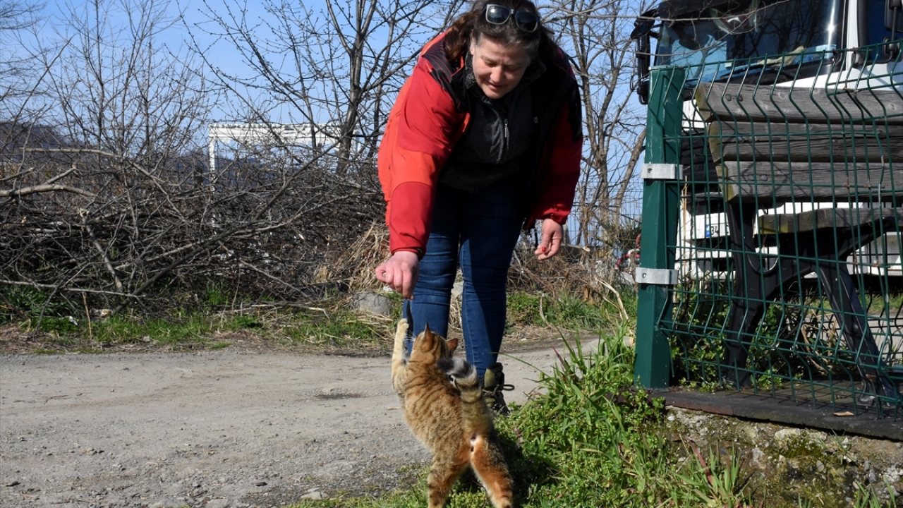 Kedilerin yanı sıra martı ve köpeklere de balık verdiklerini aktaran Yazkan, anne olmasının hayvanlara şefkatle yaklaşmasında etkili olduğunu dile getirdi.