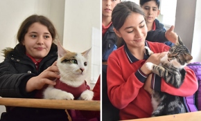 Adıyaman'daki okulun maskotları "Gofret" ve "Miya"
