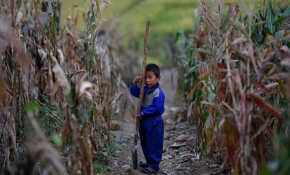 Kuzey Kore'de son yılların en ağır gıda krizi yaşanıyor