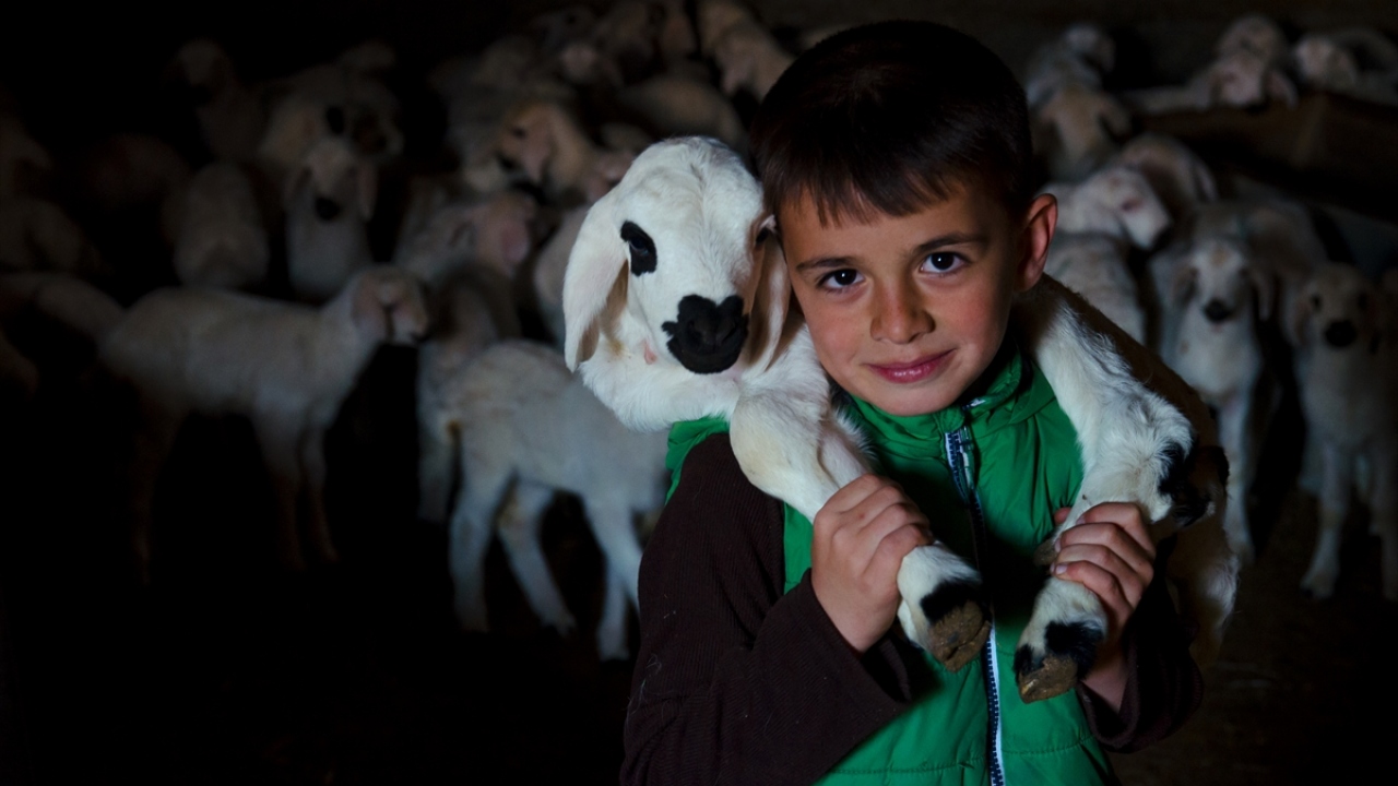Gözlü, üreticilerin mart ayında en yoğun dönemi yaşadıklarını ifade ederek, sözlerini şöyle sürdürdü: