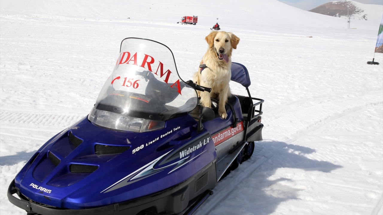 Gevaş Kaymakamı İshak Çınar, çok başarılı ve disiplinli bir tatbikat gerçekleştirildiğini söyledi.