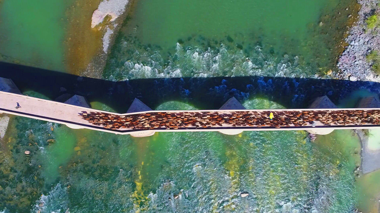 Bakanlığın "kültür portalı" üzerinden "Tarihin Tanıkları: Köprüler" başlığıyla duyurduğu Türkiye`nin en görkemli 13 köprüsü arasında bulunan, Elazığ`ın Palu ilçesinde Murat Nehri üzerindeki tarihi yapı, yıllara meydan okuyor.