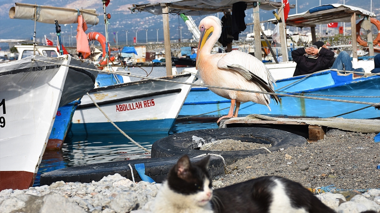 "Ailemizden biri oldular"