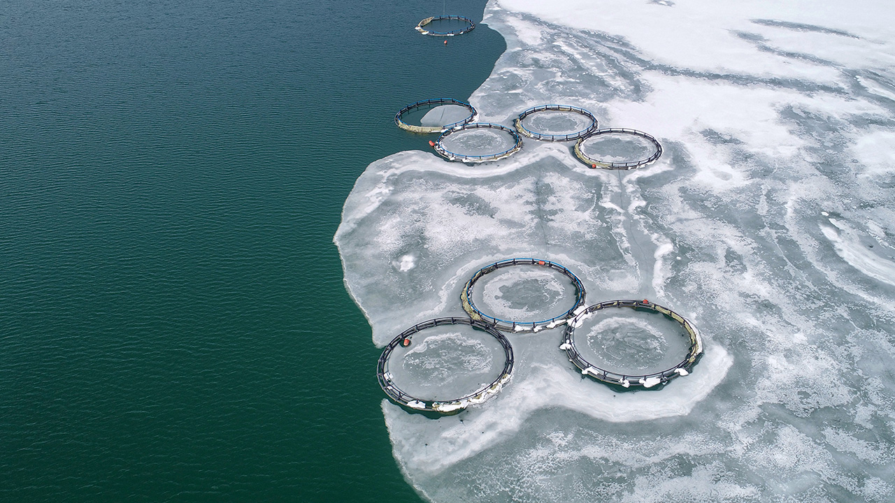 Gürpınar ilçesinde 105 milyon metreküp su kapasiteli gölün yüzeyinin büyük bölümü, soğuk havanın etkisiyle üç ay önce buz tabakasıyla kaplandı.
