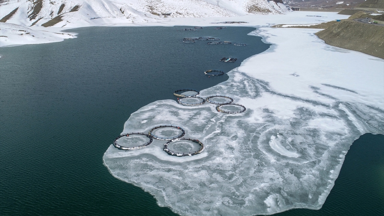 Balıkçı Mithat Doğal, 21 yıldır Zernek Baraj Gölü`nde balıkçılık yaptığını ve geçimini bu sayede sağladığını söyledi.