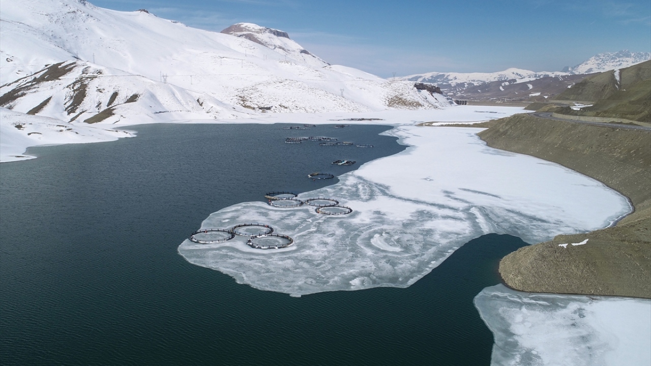 "Buzlar çözülünce avlanmaya başladık"