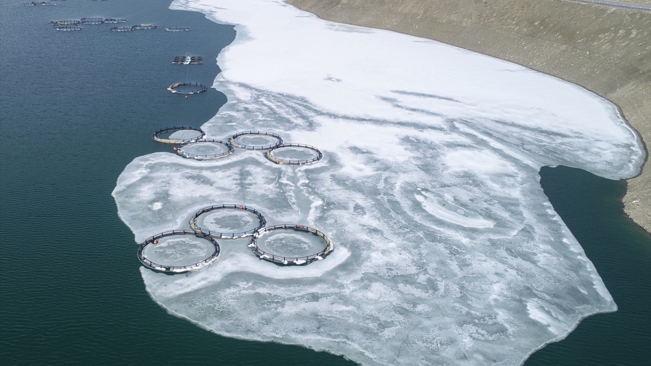 Balıkçı Hikmet Doğal ise her yıl buzda avlandıklarını, ancak bu yıl buz kalınlığının yeteri seviyeye ulaşmadığı için riske girmek istemediklerini dile getirdi.
