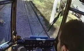 Kedinin su içtiğini görünce tramvayı durdurdu