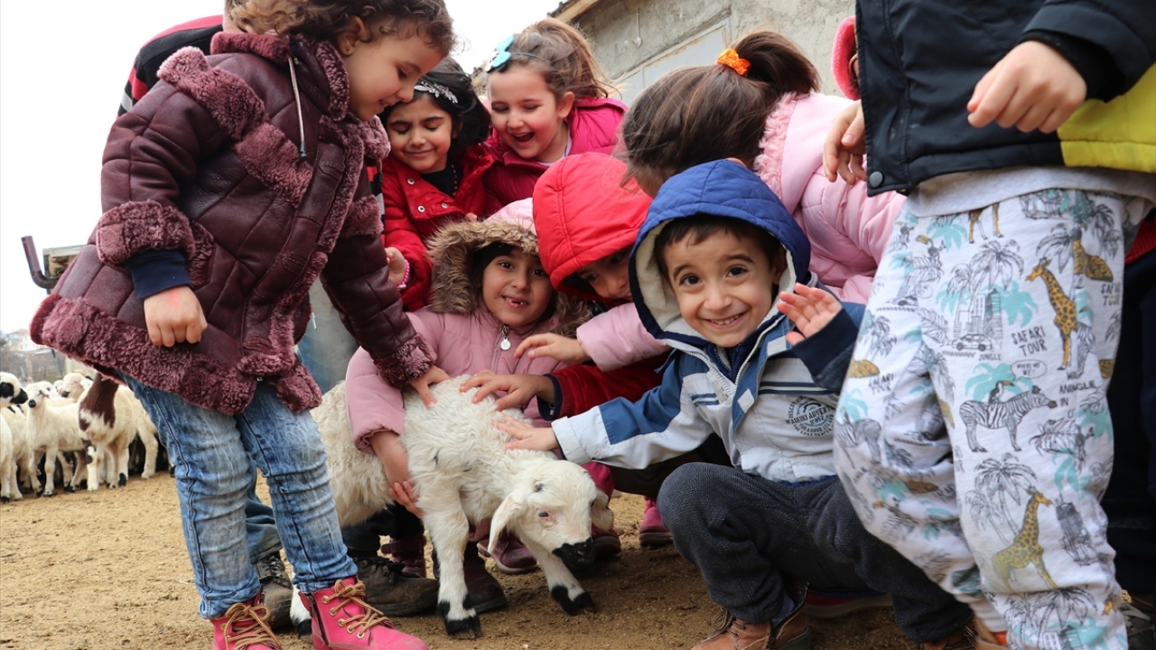 Anaokulu Müdürü Aysel Kan, okul öncesi eğitimin amacının, ilköğretim çağına gelmemiş çocukların bedensel, zihinsel ve duygusal gelişimlerini, iyi alışkanlıklar kazanmasını sağlamak ve onları temel eğitime hazırlamak olduğunu belirtti. 