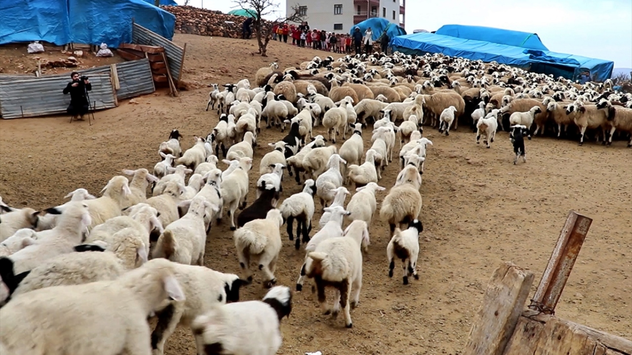 "Amacımız çocukların duygusal gelişimine katkı sunmak"