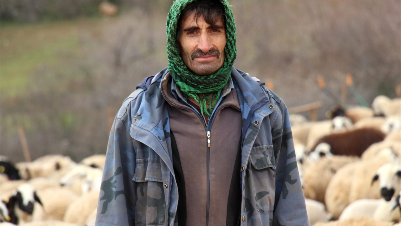 Küçükbaş hayvan yetiştiricisi Nusret Küçük, bazı vatandaşların, kuzuların anneleriyle buluşma anını görmek ve fotoğraf çekmek için köye geldiğini söyledi.